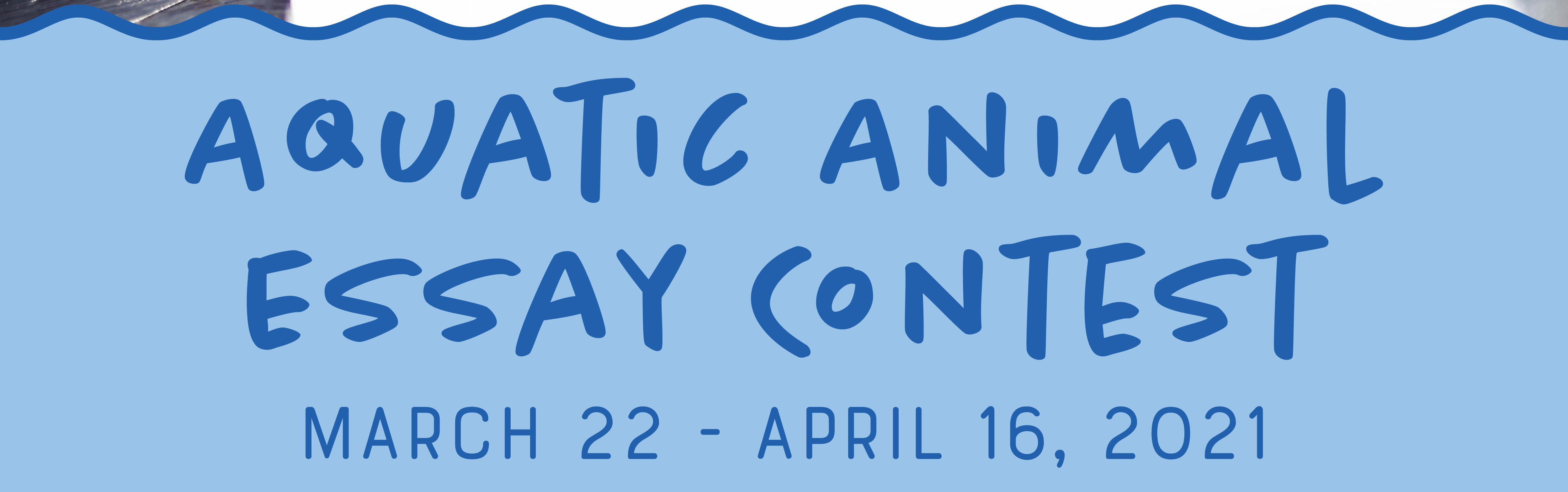 Aquarium essay contest 08 picture