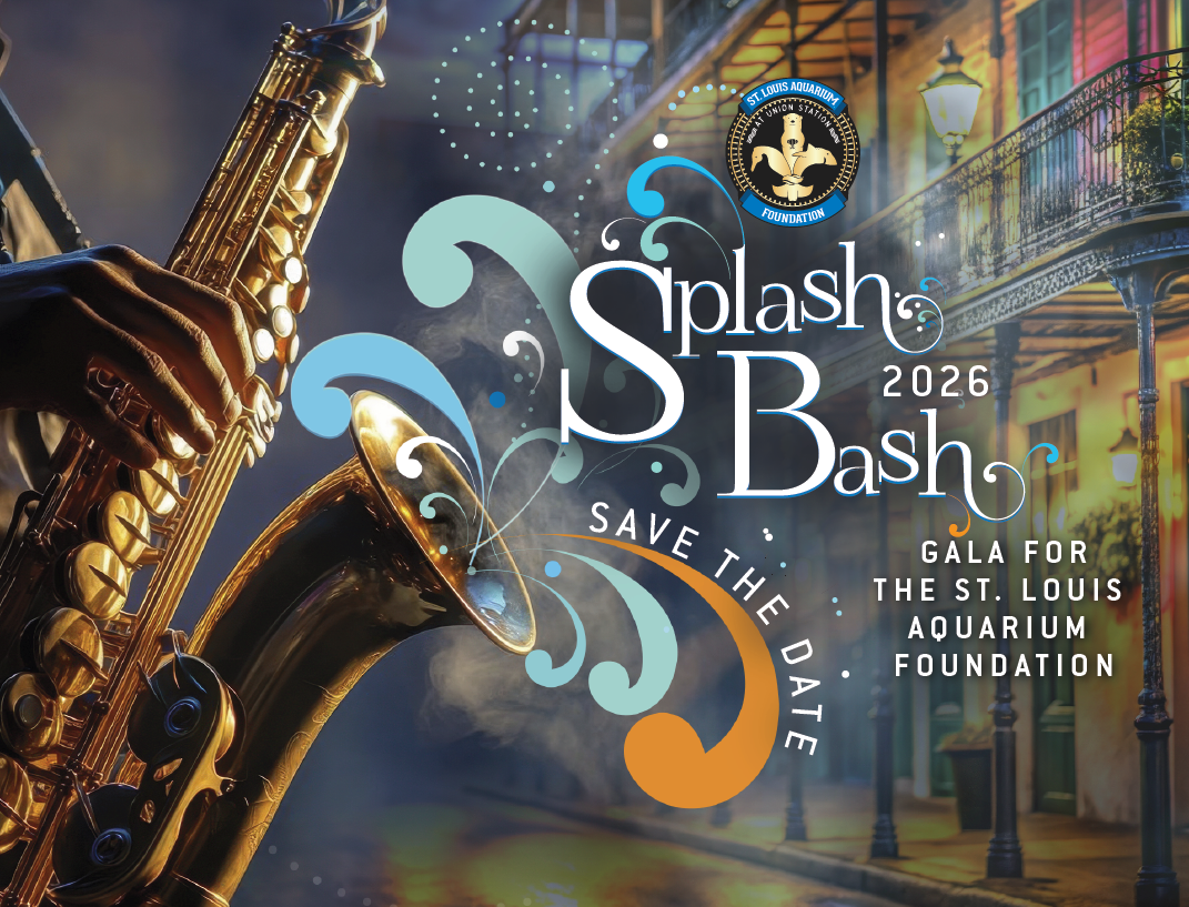 Splash Bash 2026