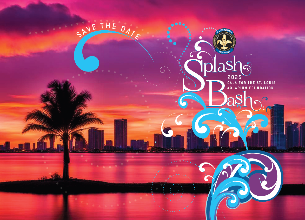 Splash Bash with sunset view of city with palm tree
